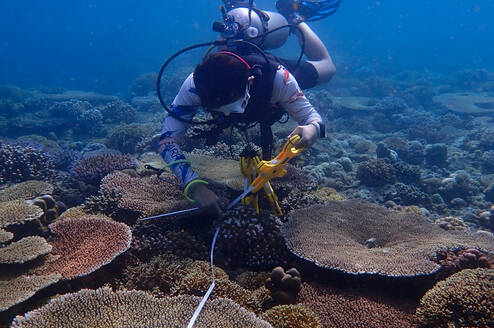 Conducting MPA assessments