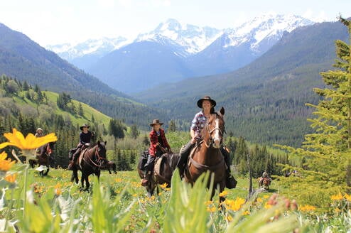 Data Collection Wilderness Horseback Conservation 