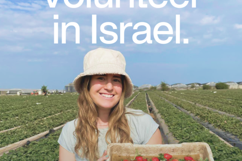 Volunteer In Israel