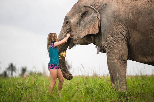 Volunteer at the elephant sanctuary excursion