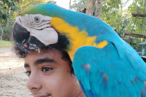 our volunteer with a macaw parrot
