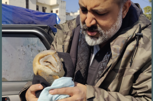 Bird Rescue Program in January 