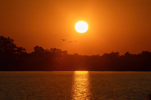 African Sunset