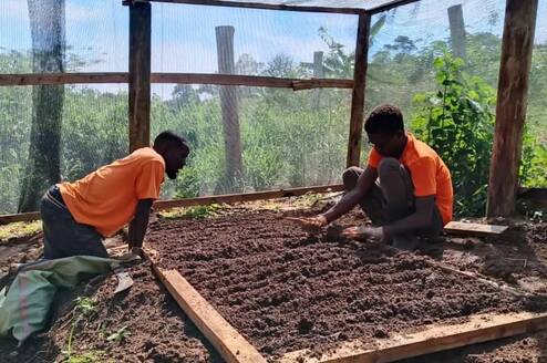 2 staff members planting seedlings in a plant nursery