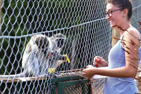 Volunteer feeding our monkeys 