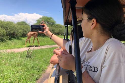 Our client captured Giraffe 