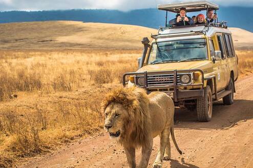 Ngorongorongoro Crater 