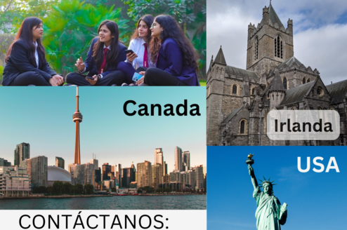 Cursos académico 