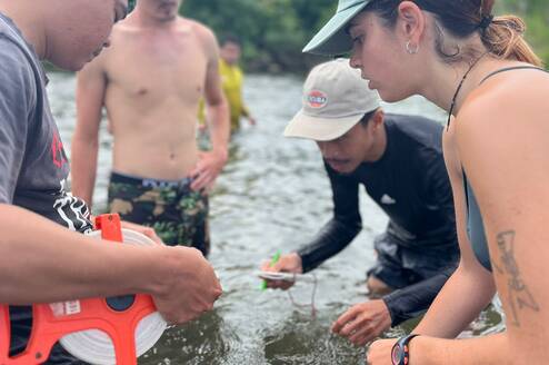 Volunteers are involved in  mangrove research.