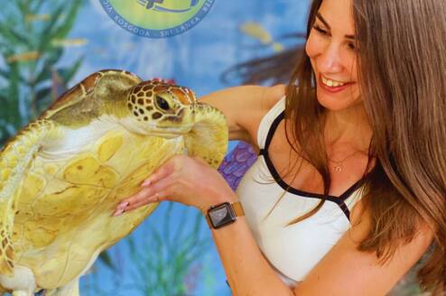 Introduction to turtle