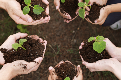 environmental Volunteer jobs