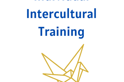 Pre-travel individual intercultural training