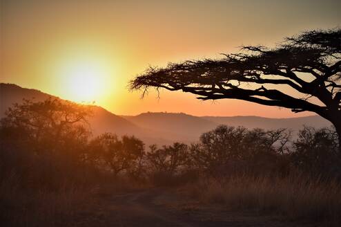 Sunset at UmPhafa Nature Reserve