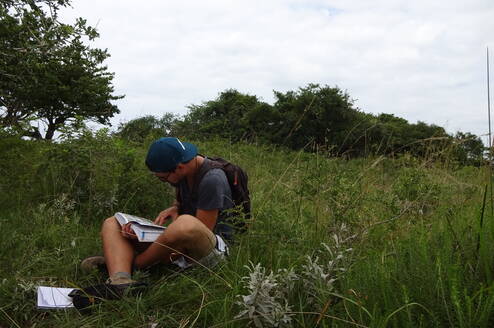 Field study, volunteers out in the wilderness doing research