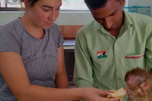 Hands-on care. Interns support wildlife rescue and rehabilitation efforts in India.