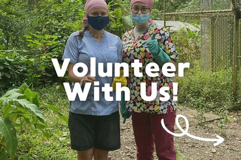 Two volunteers surrounded by jungle and enclosures in our pre-release area giving a thumbs-up 