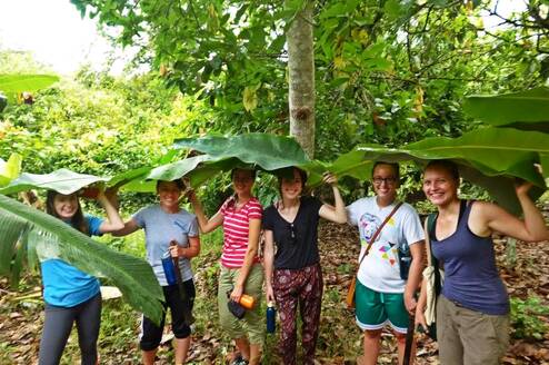 Volunteers learning about local farming practices on a community farm visit 