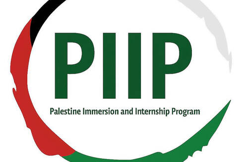 PIIP Logo