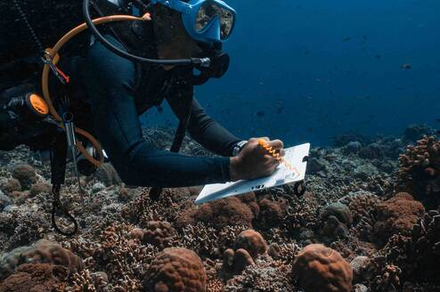 Aris, Conservation Diver Instructor monitoring the reef