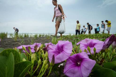 Eco-volunteers take part in field work and community projects - Ralph Pace