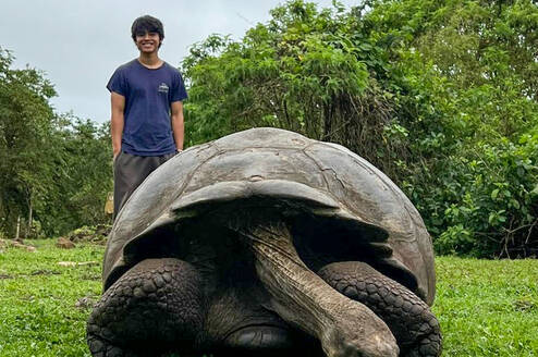 Experimenter poses with Giant Galapagos tortoise