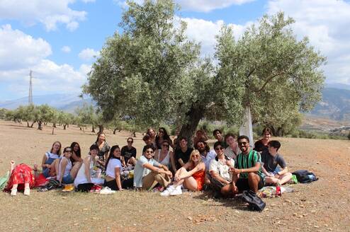 A group of students relaxing near a tree