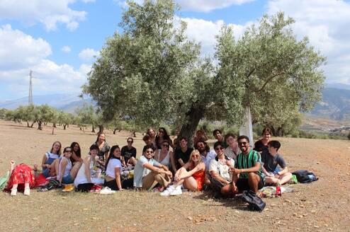 A group of students relaxing near a tree