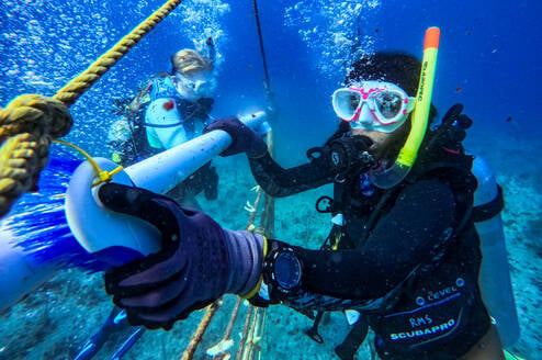 Two scuba divers work underwater, holding a long PVC pipe and cleaning equipment attached to a rope structure. Air bubbles rise around them as they conduct marine fieldwork in clear blue water.