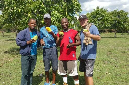 Reforestation and environmental protection 