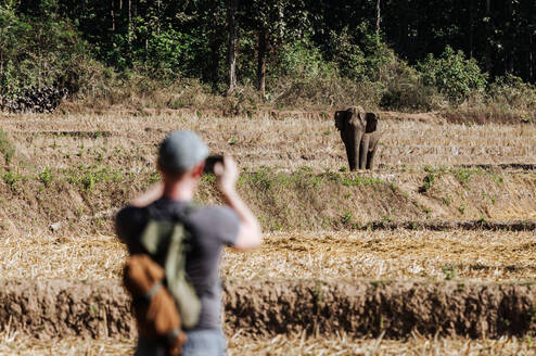 Intern at Kindred Spirit Elephant Sanctuary 