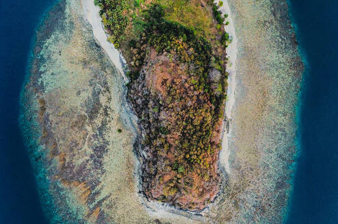 Flip Flop Island