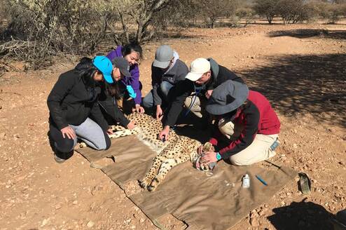 Students with Cheetah