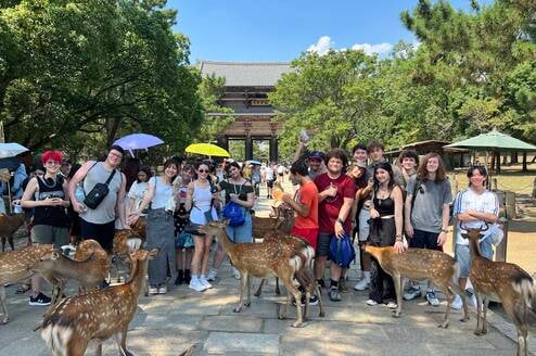 Petting Wild Deer in Nara
