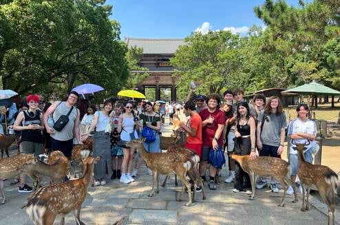 Petting Wild Deer in Nara