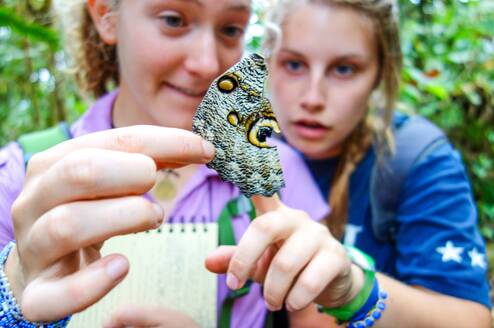 Students studying a butterfly.