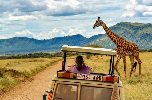 Safari jeep with giraffe in Tazania.