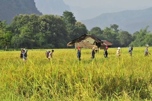Volunteer in Laos
