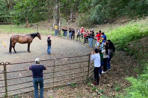 Students participate in interactive workshops focused on equine behavior, communication, and understanding horse body language through observation and hands-on learning