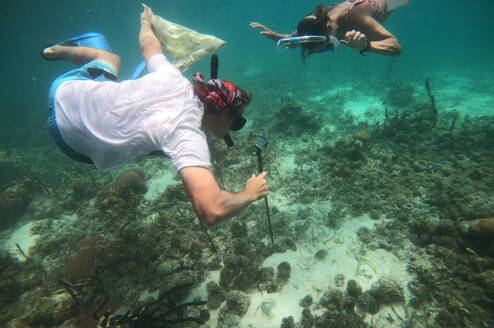 Students study seagrass baits