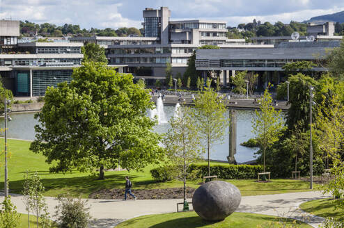 ucd
