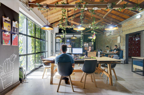 students working in a bright natural workspace