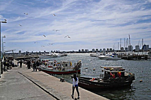 Internships in Uruguay