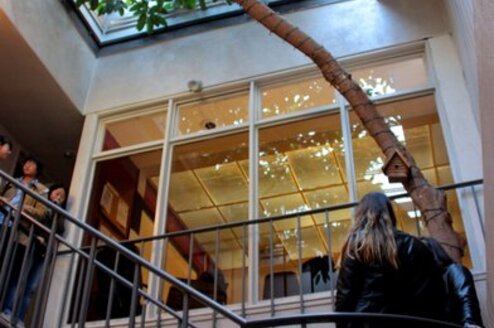 LSI San Francisco/Berkeley Thumbnail