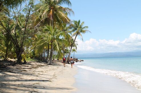 Red Tree Study: Learn Spanish in Colombia Thumbnail