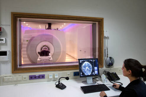 Brains Unlimited Maastricht Center for European Studies Maastricht University