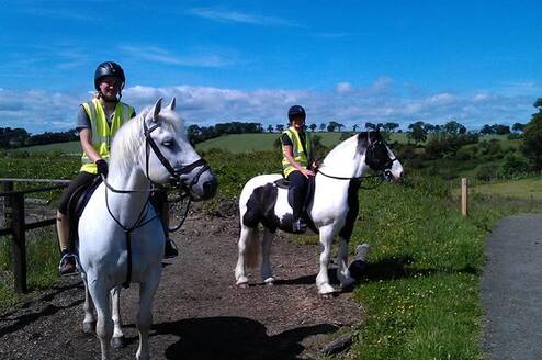 Equine study abroad program in Scotland