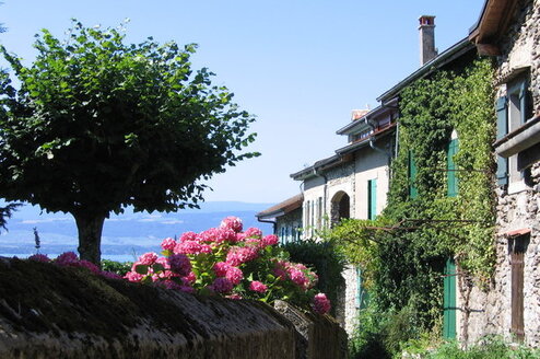 Tutor English to a Host Family in France / Teach in a Homestay Thumbnail