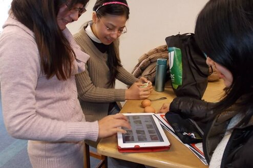 Teach In Auckland New Zealand Go Overseas