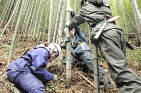 Volunteer Abroad in Japan Thumbnail