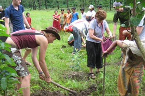 volunteers planting trees in schools and vtc